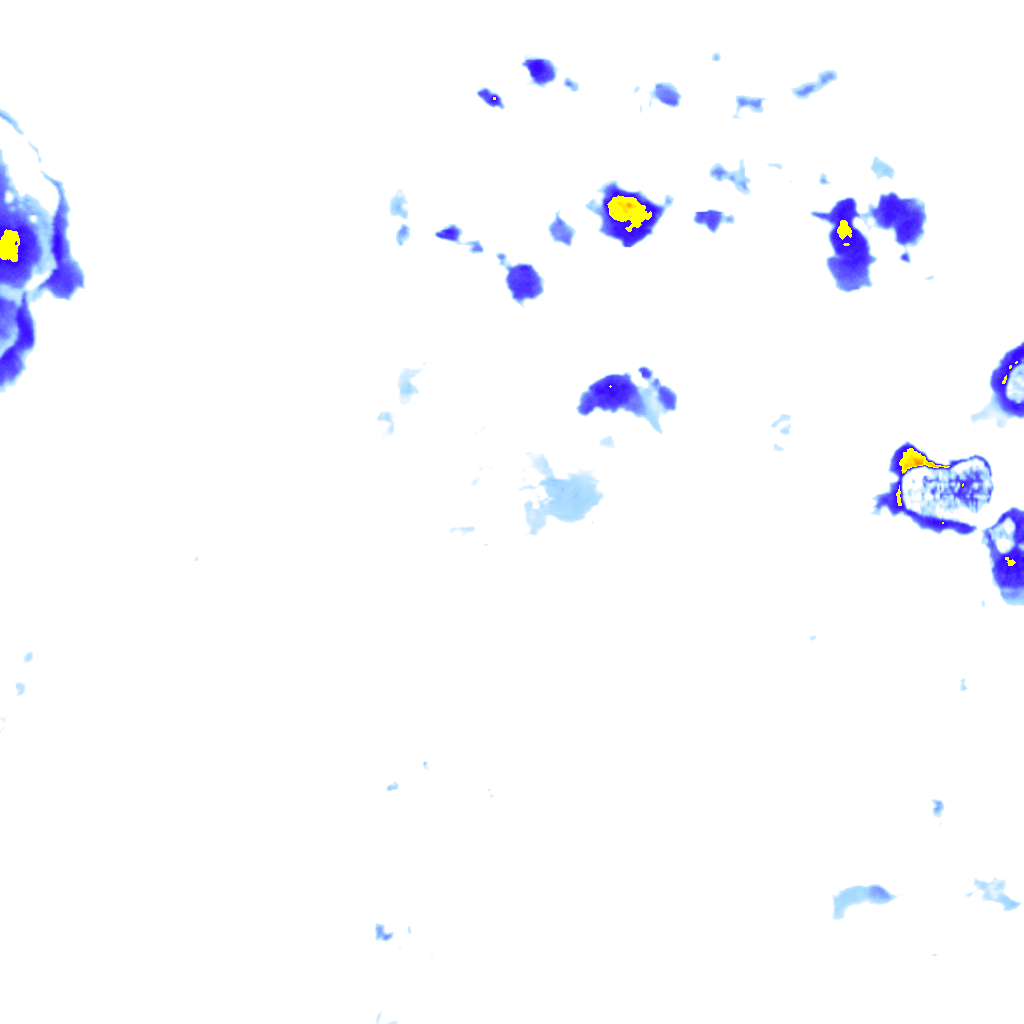 rainLayer