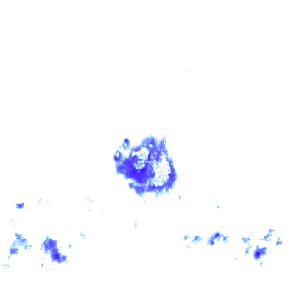 rainLayer