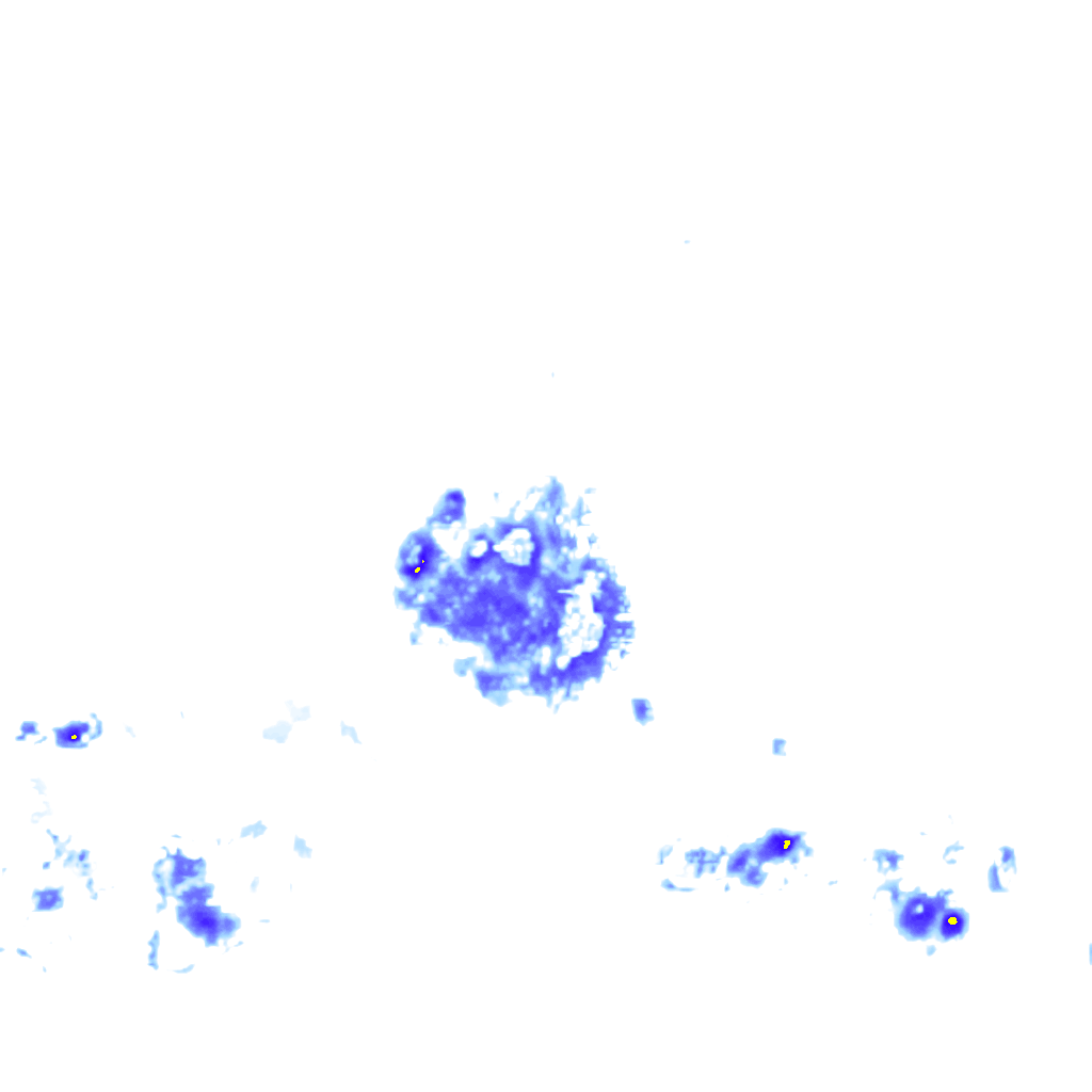 Image Layer