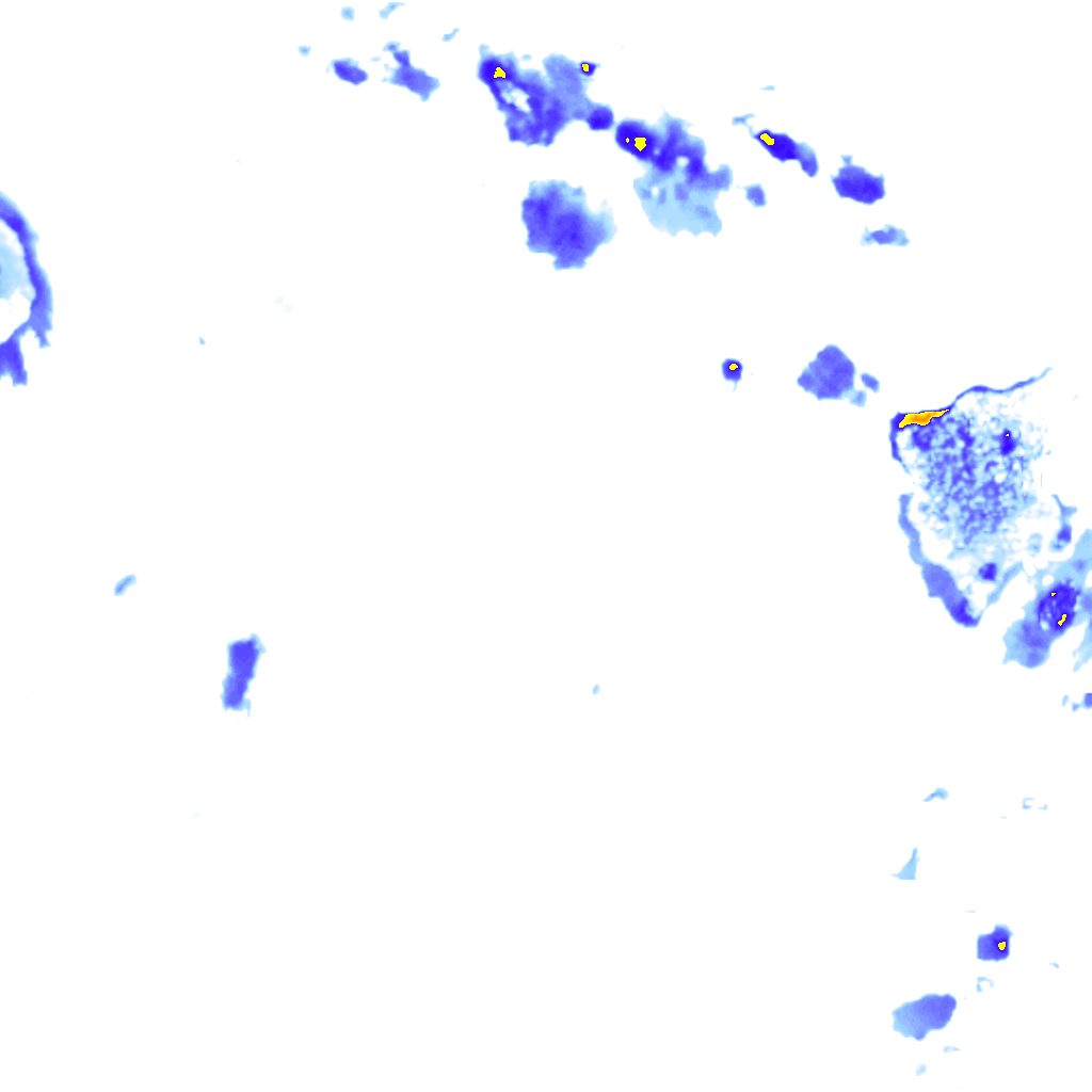 Image Layer