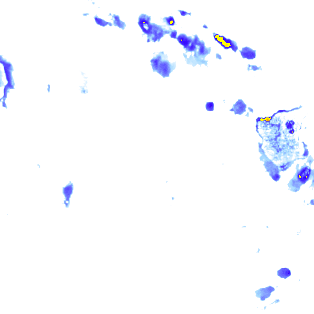 Image Layer