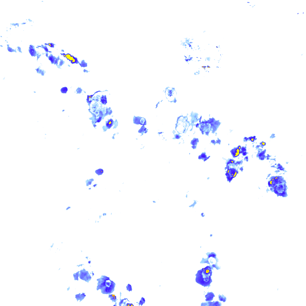 rainLayer