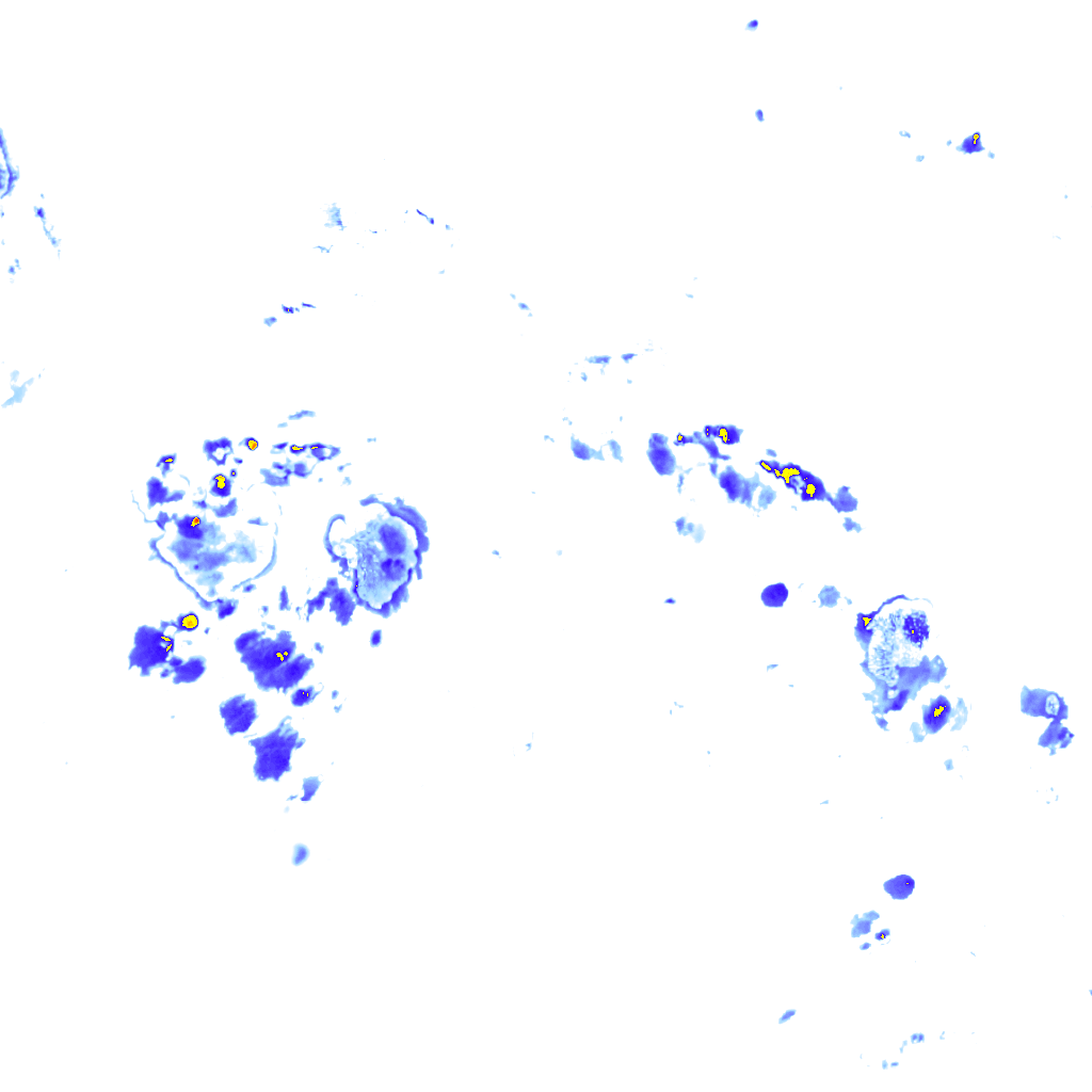 Image Layer