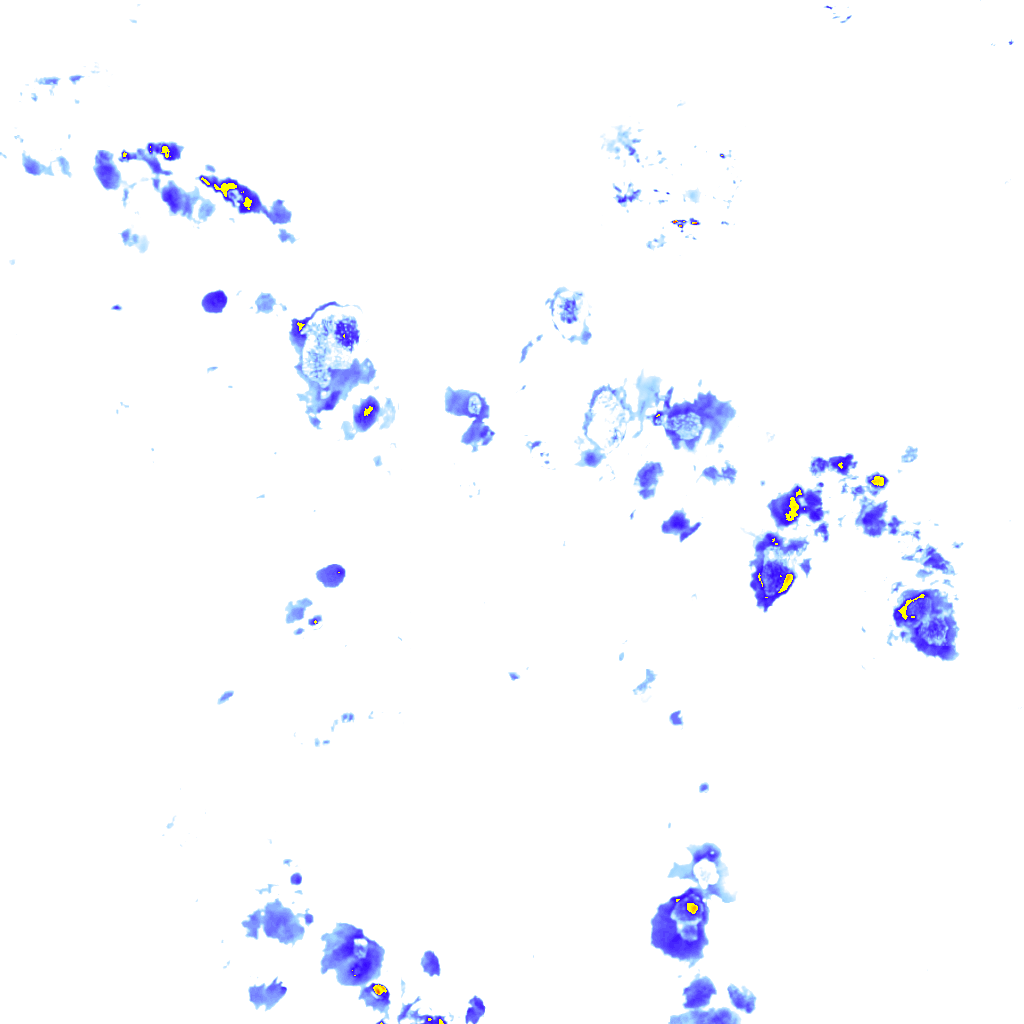 rainLayer