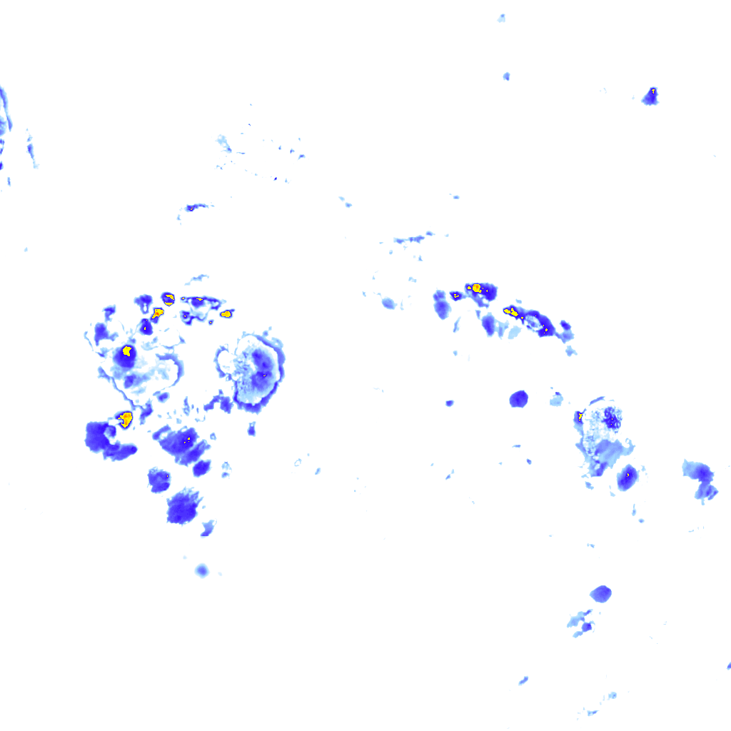 rainLayer
