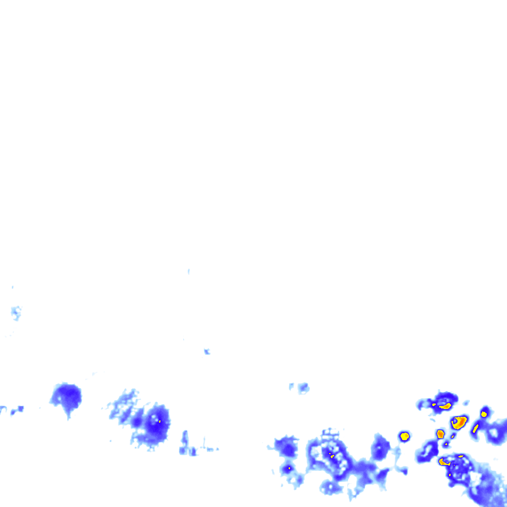 rainLayer