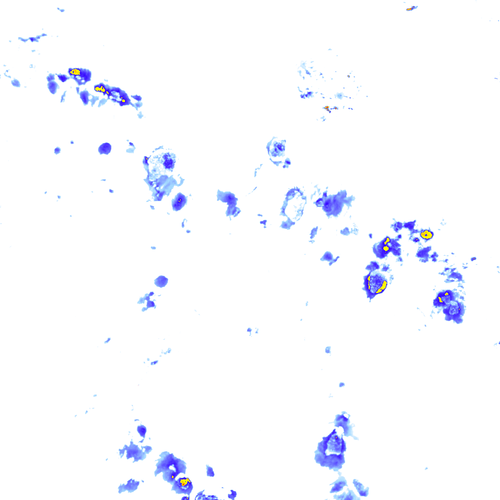 Image Layer