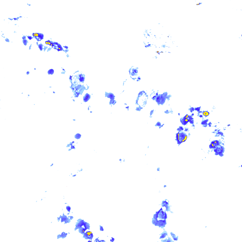 Image Layer