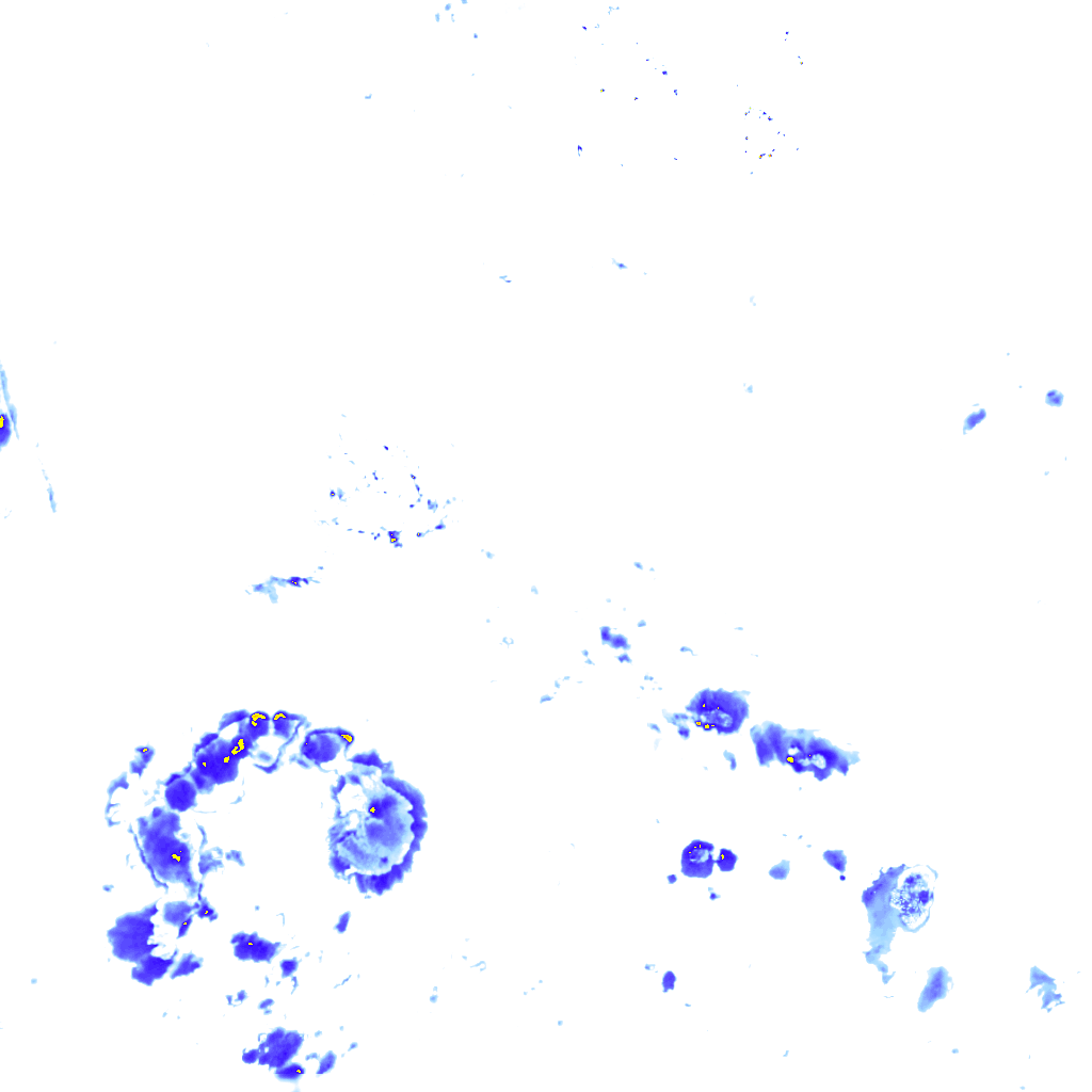 rainLayer