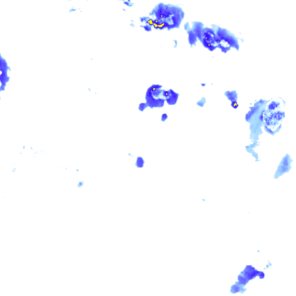 rainLayer