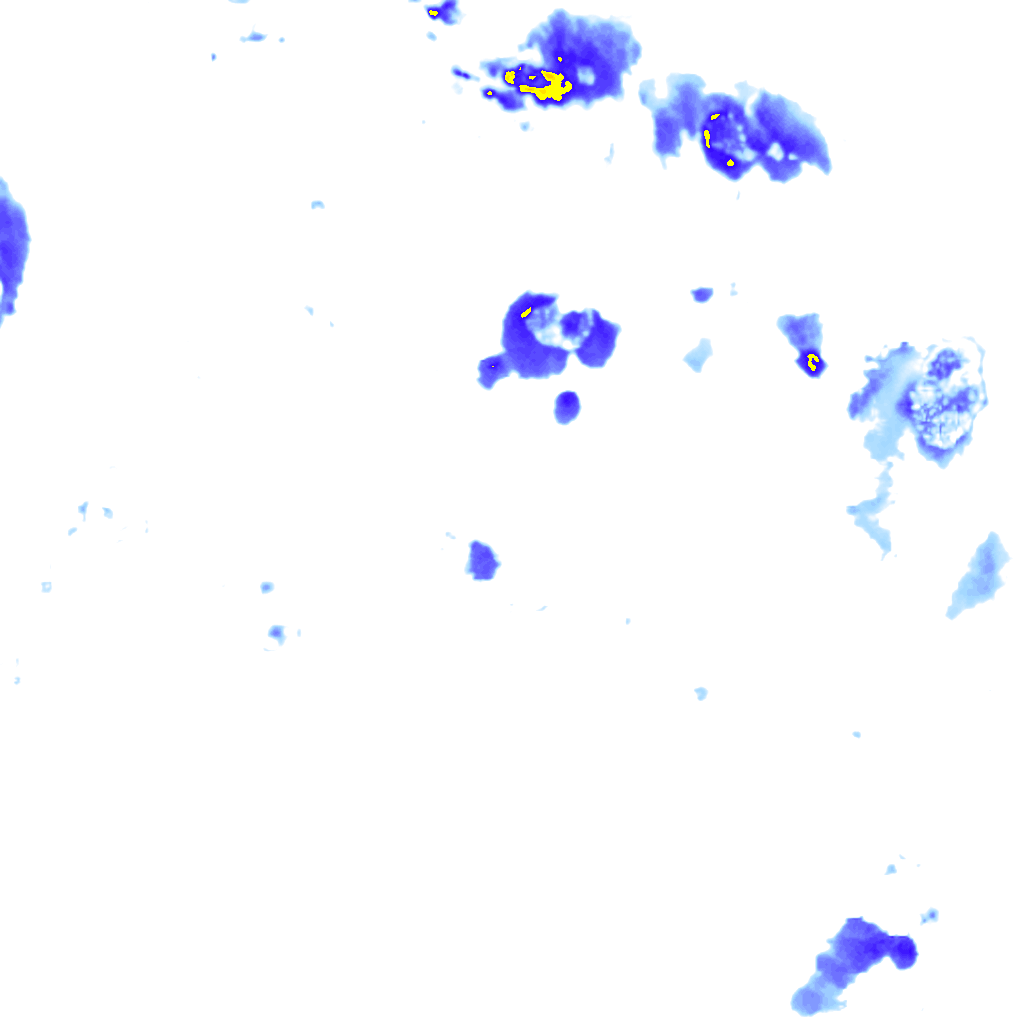 Image Layer