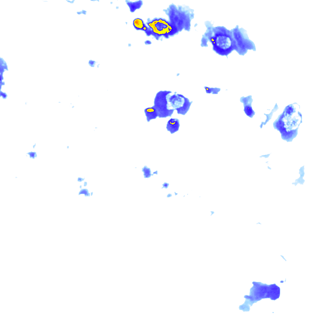 rainLayer