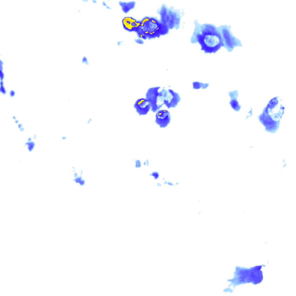 rainLayer