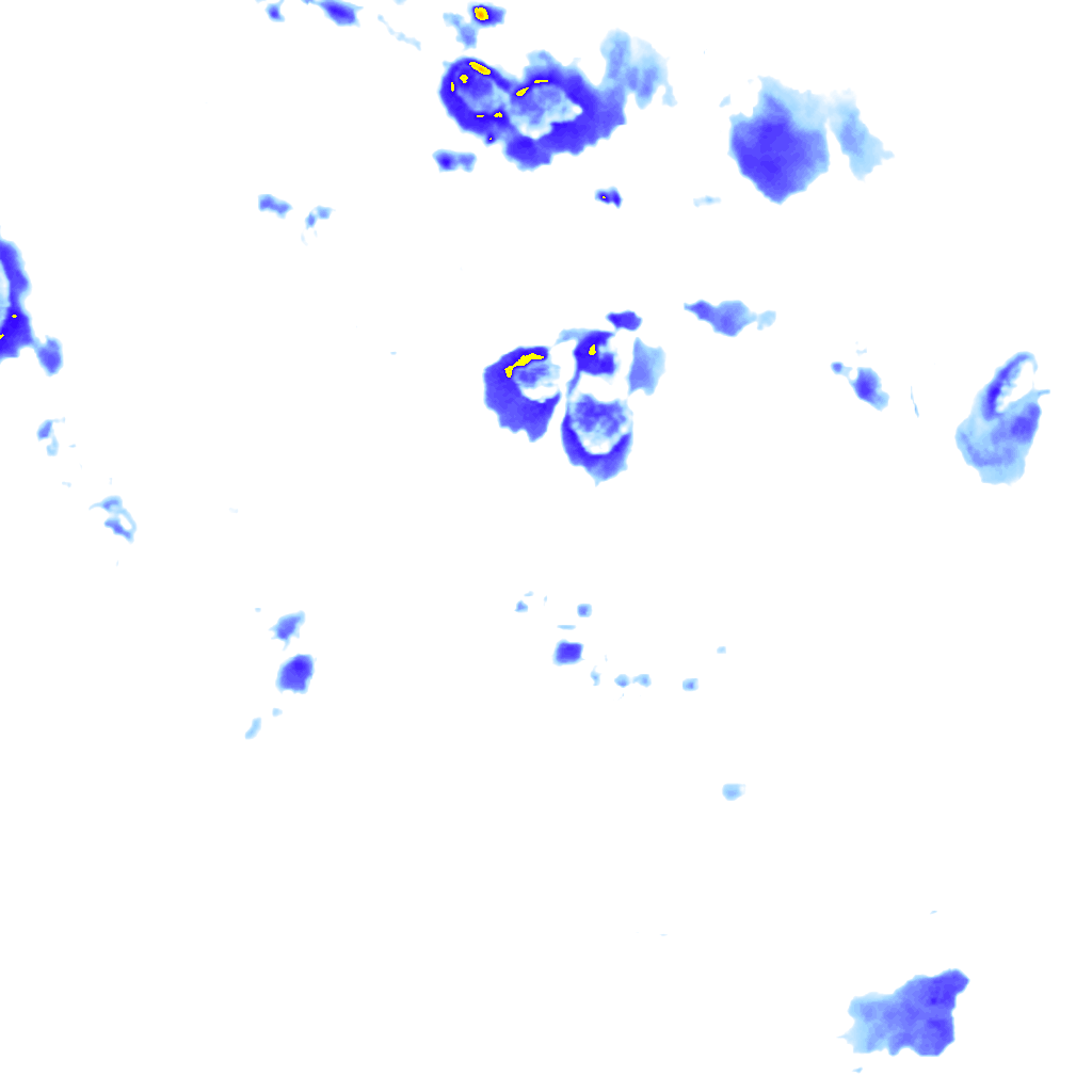 rainLayer