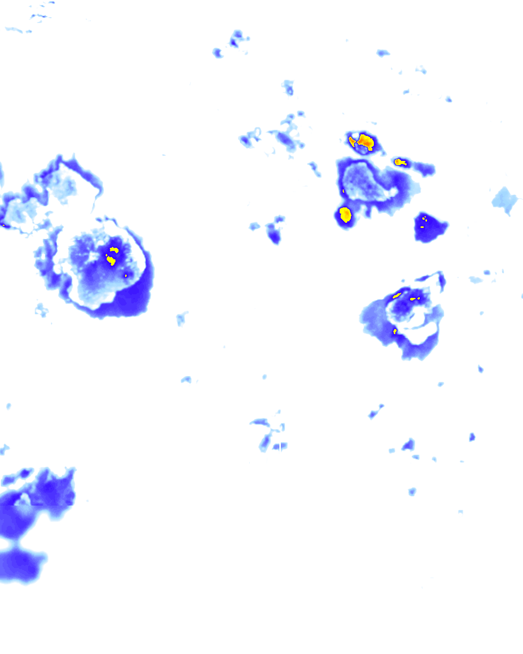 Image Layer