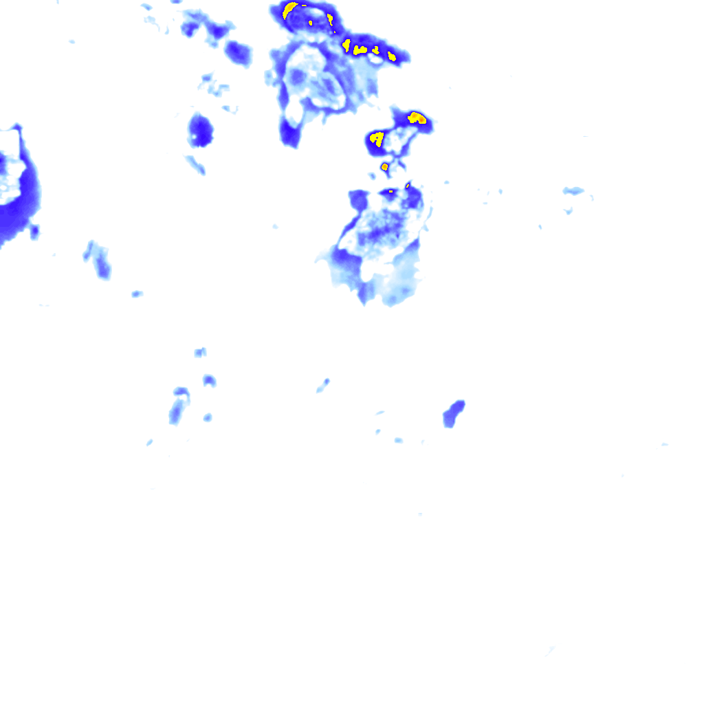 rainLayer