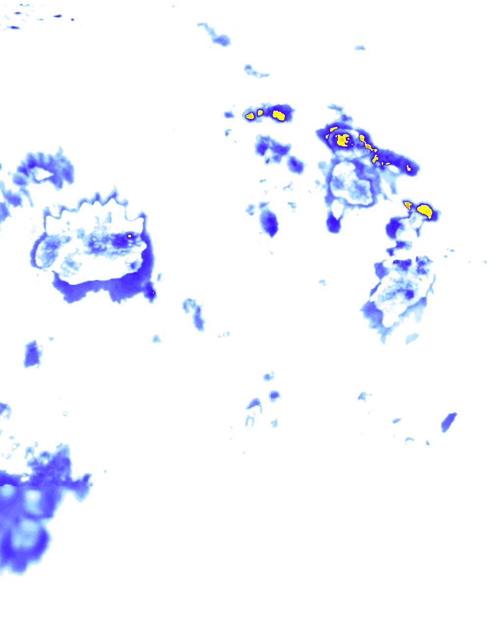 rainLayer