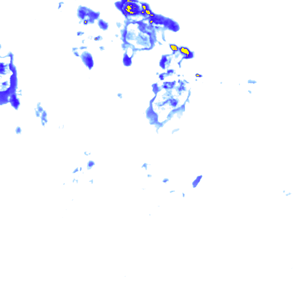 rainLayer