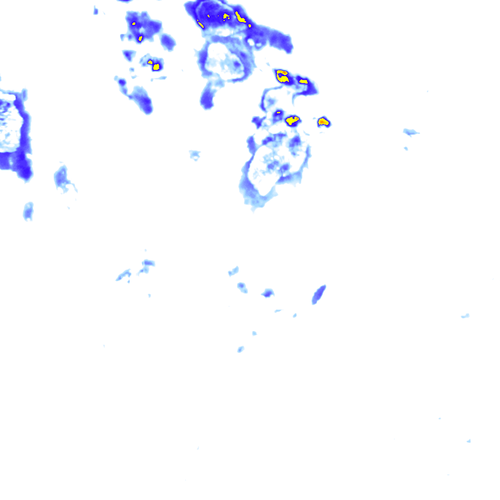 rainLayer
