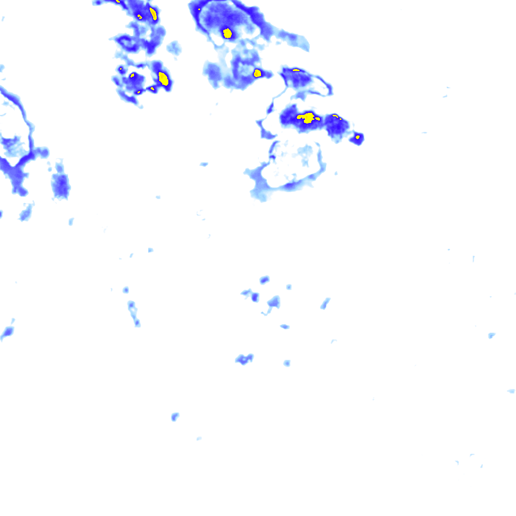 rainLayer