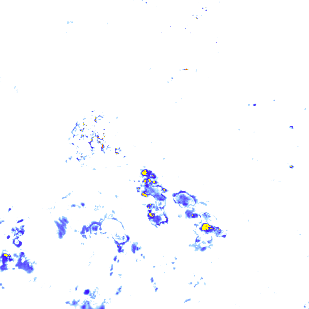 rainLayer