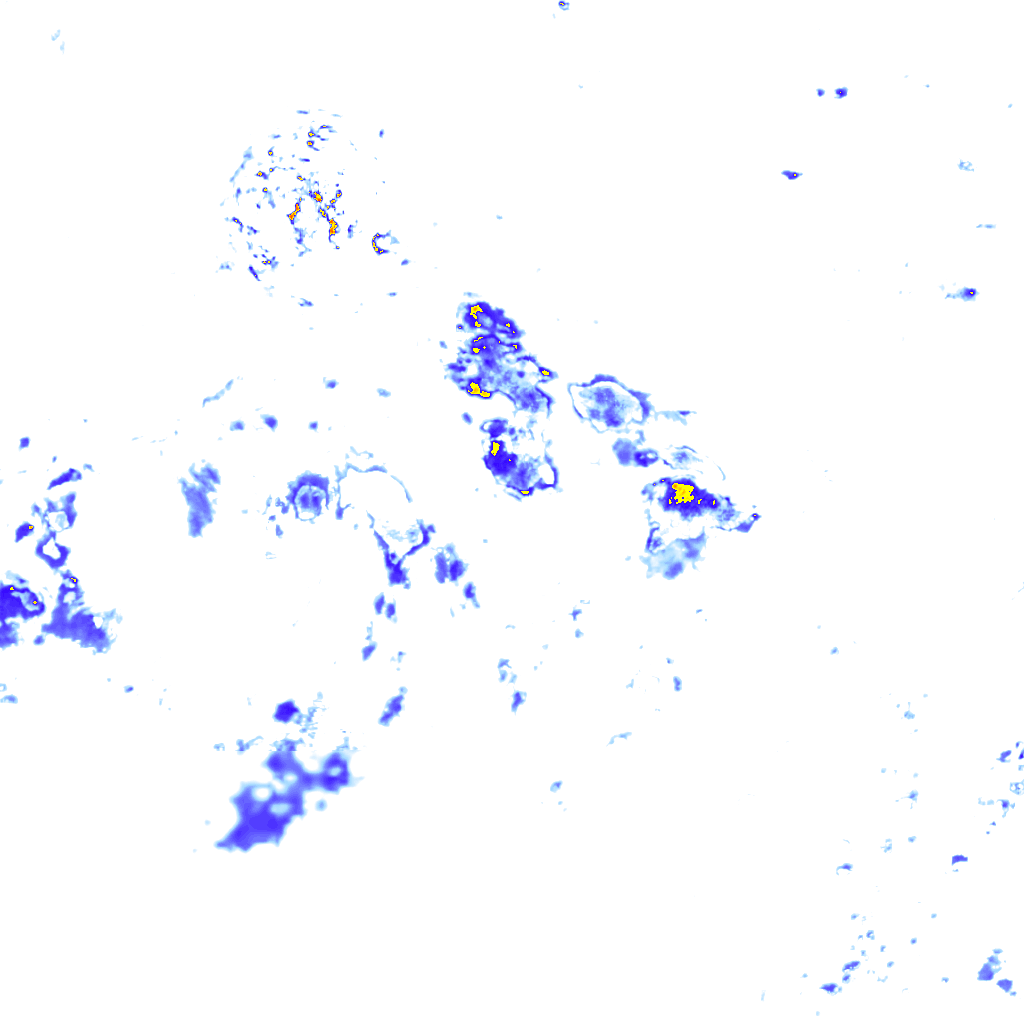 rainLayer