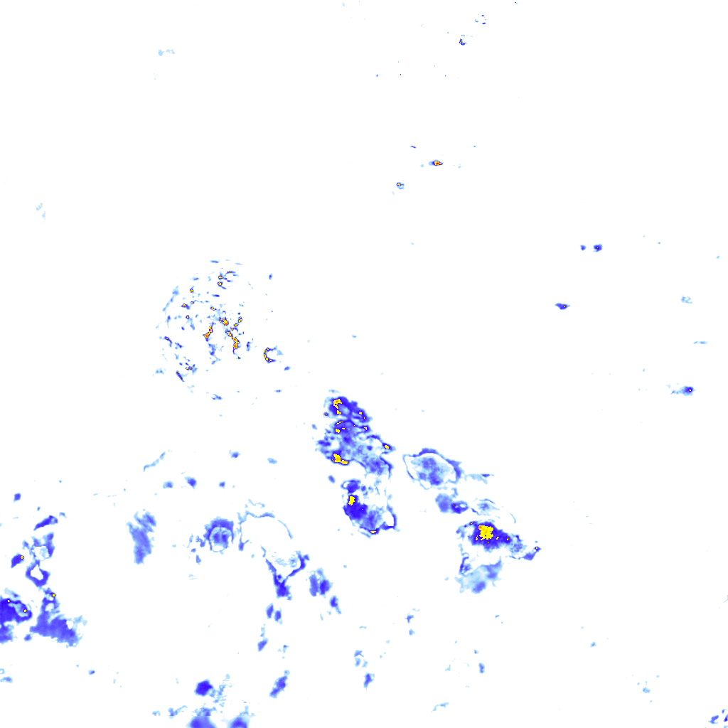 rainLayer