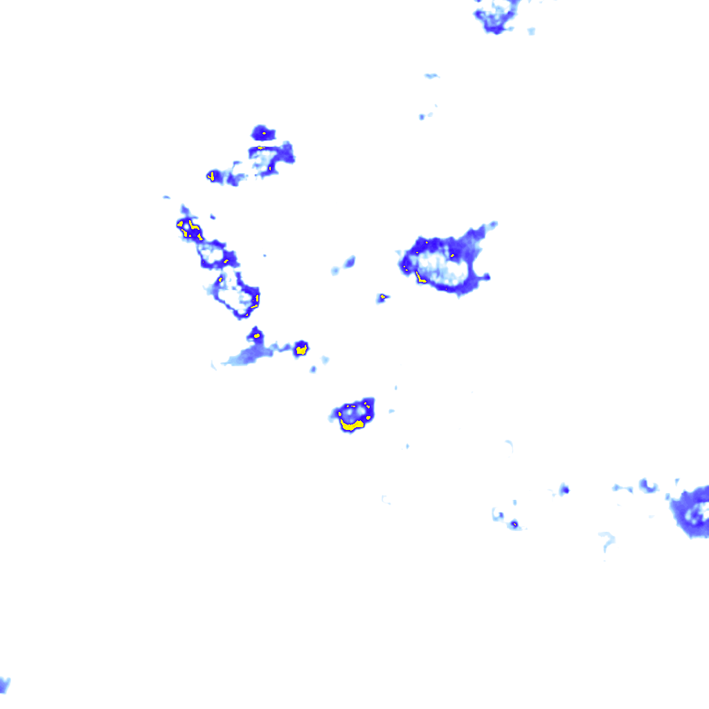 rainLayer