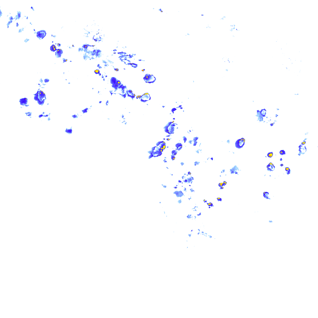 rainLayer
