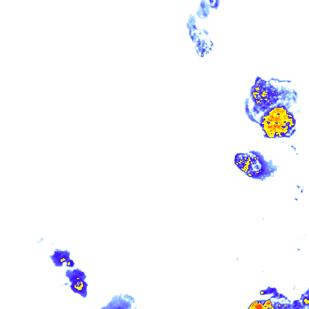 rainLayer