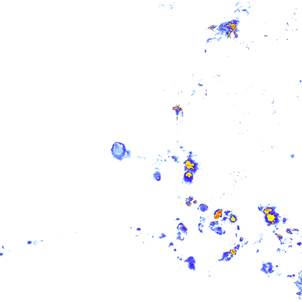 rainLayer