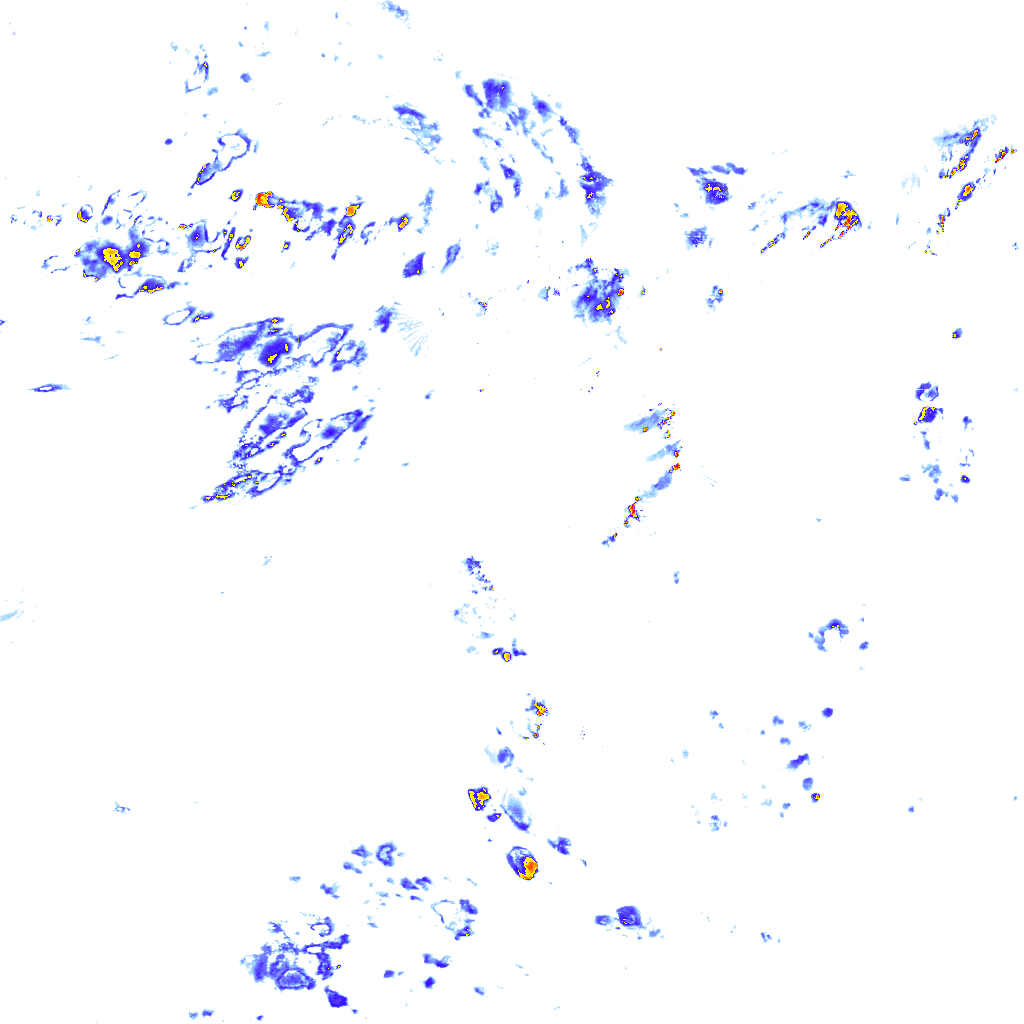 Image Layer