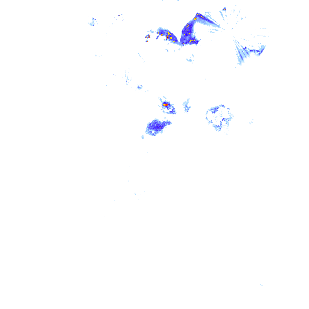 rainLayer