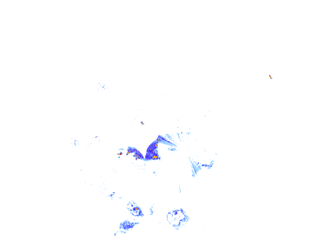 rainLayer