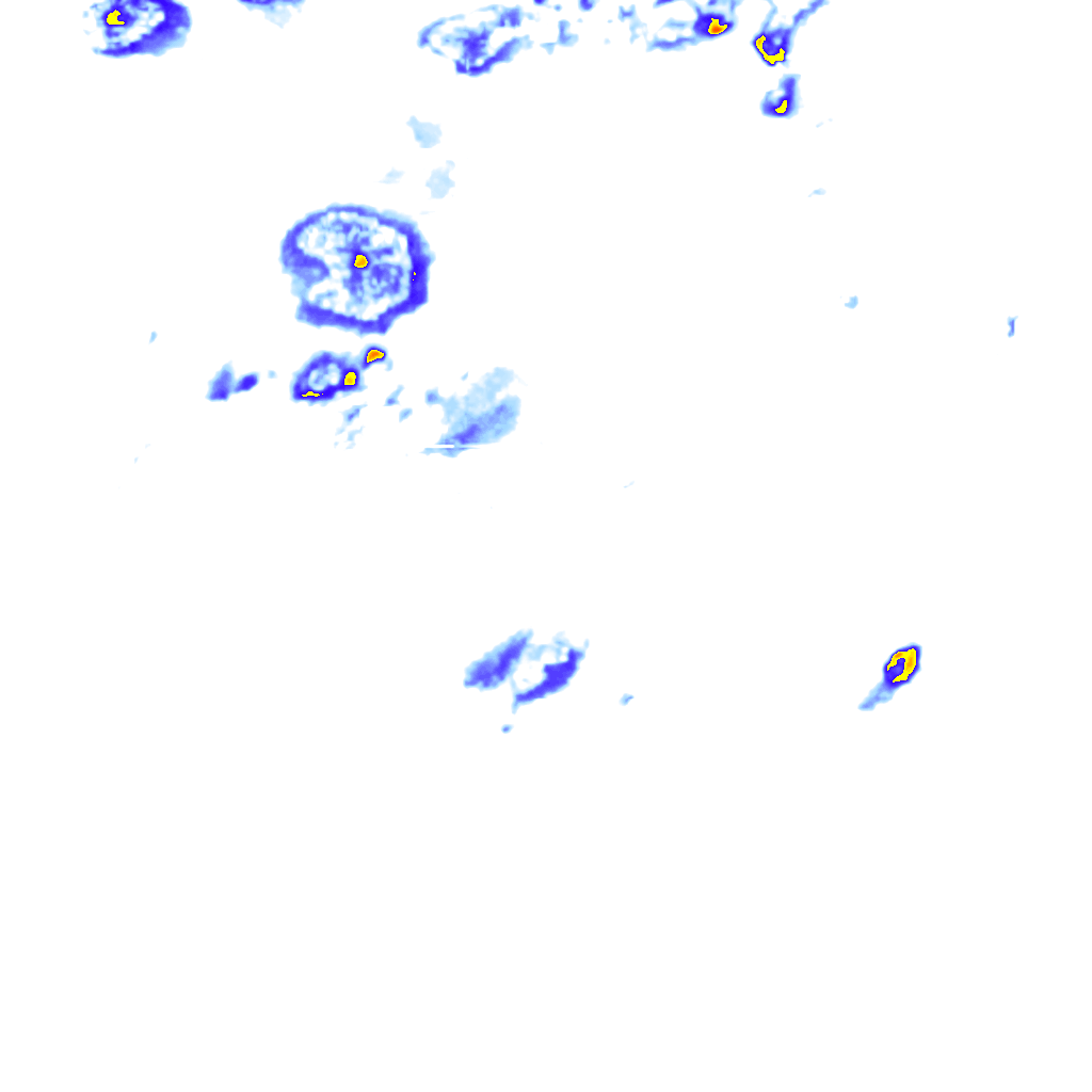 rainLayer