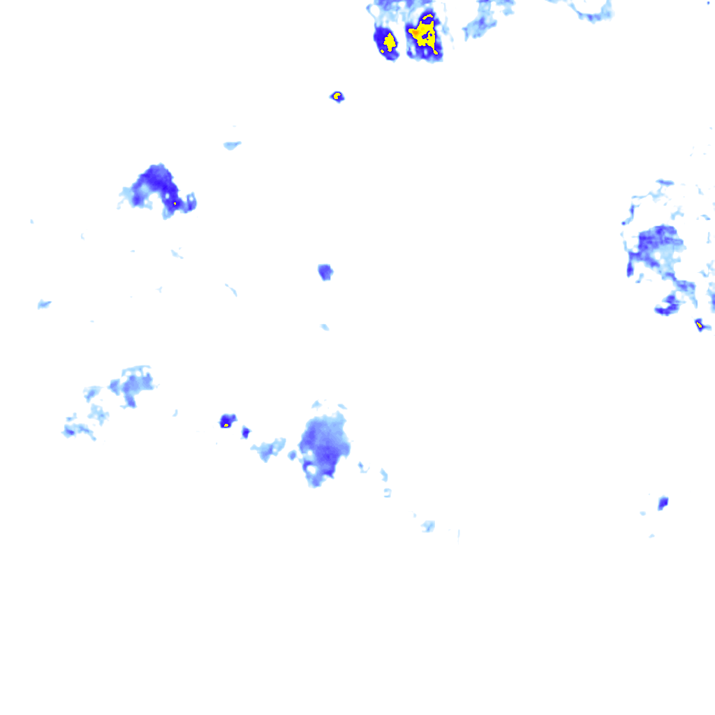 rainLayer