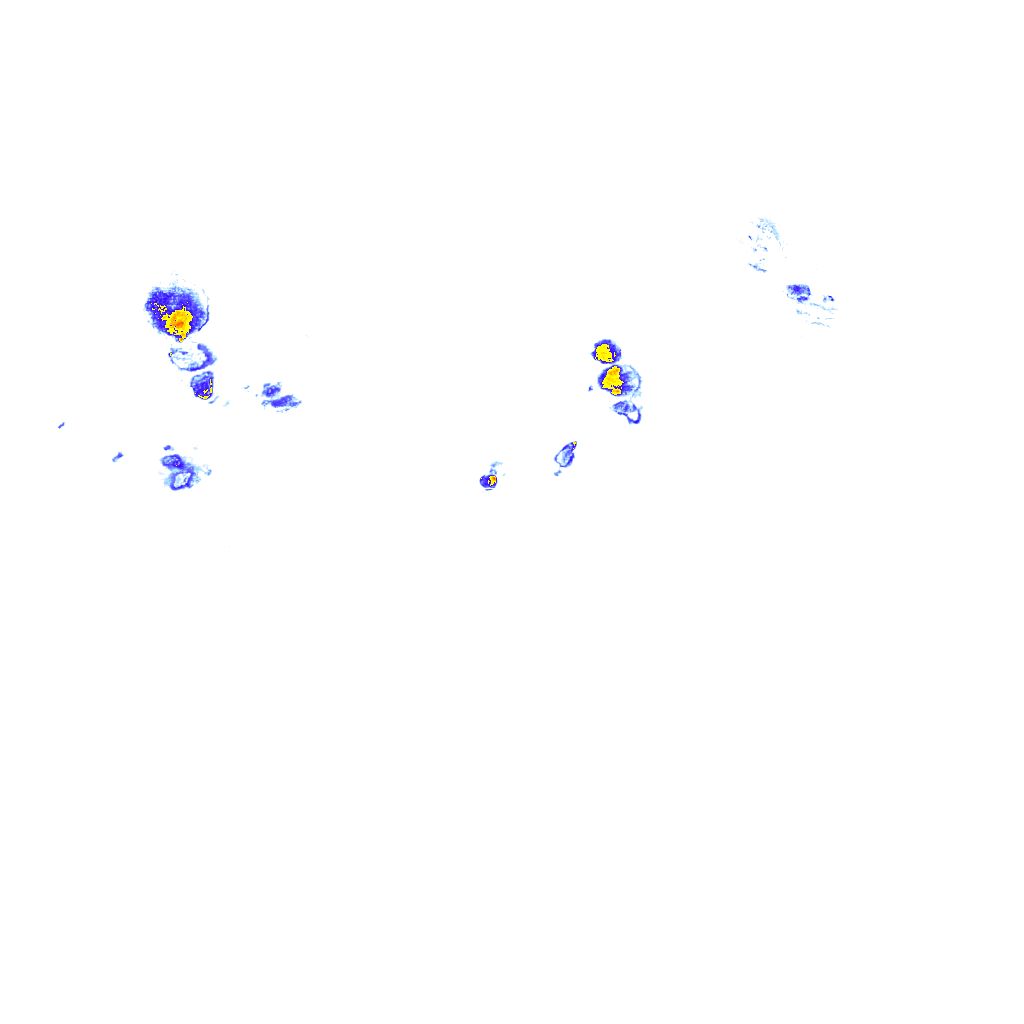 rainLayer