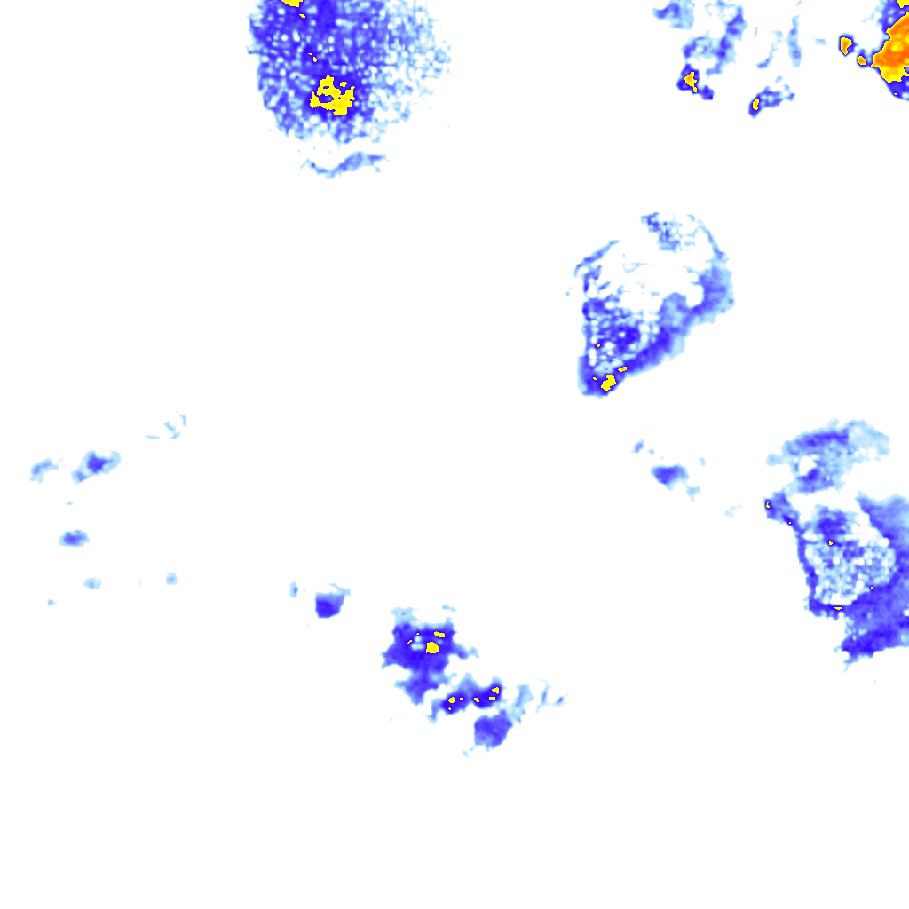 Image Layer