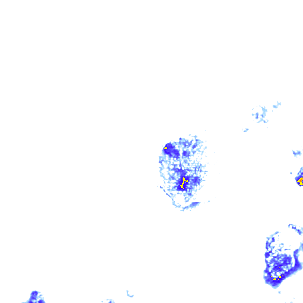 rainLayer