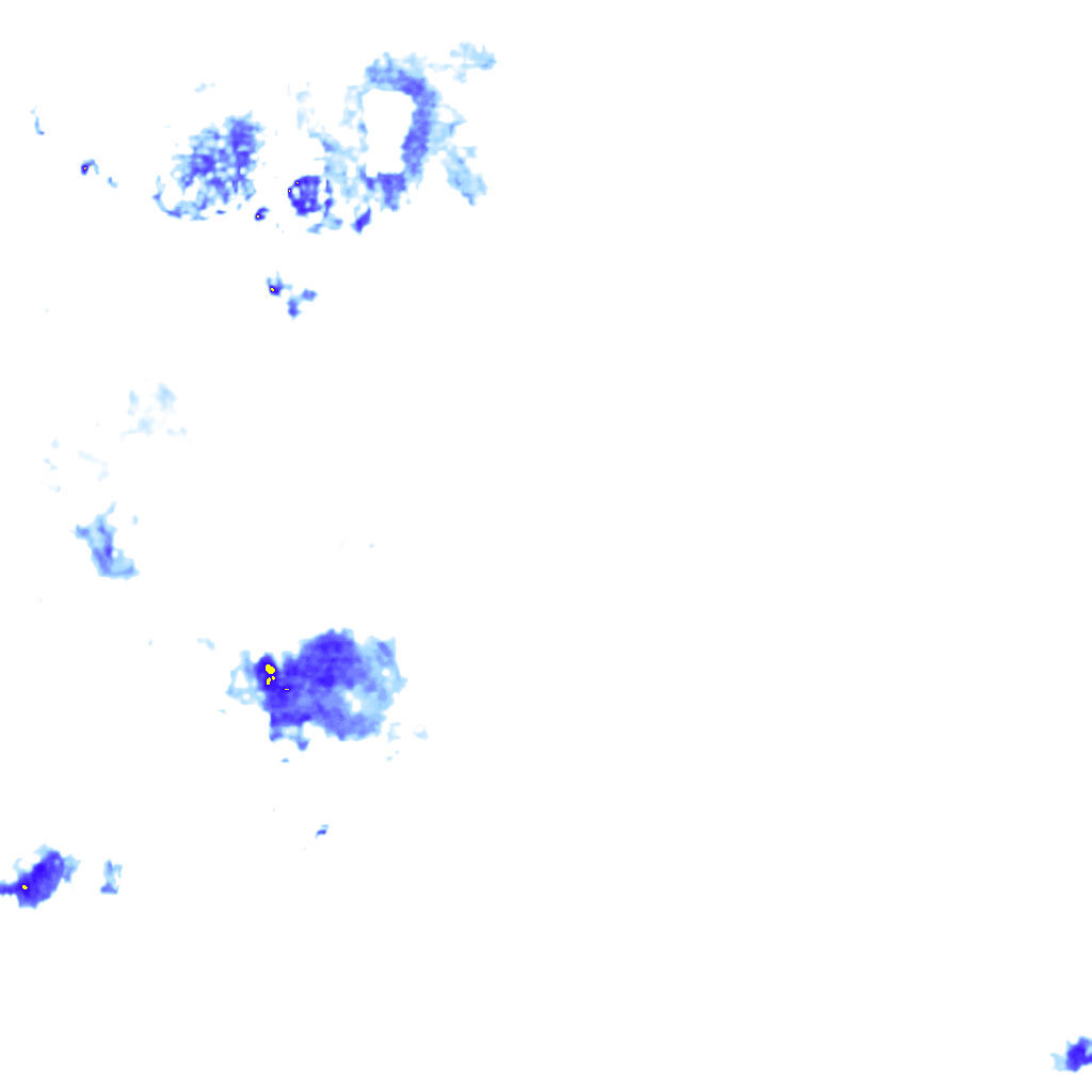 rainLayer