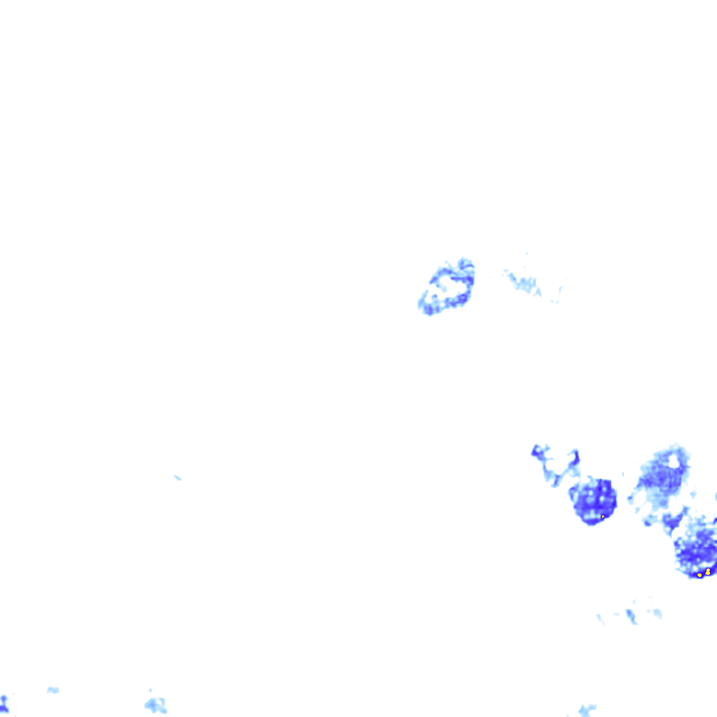 rainLayer