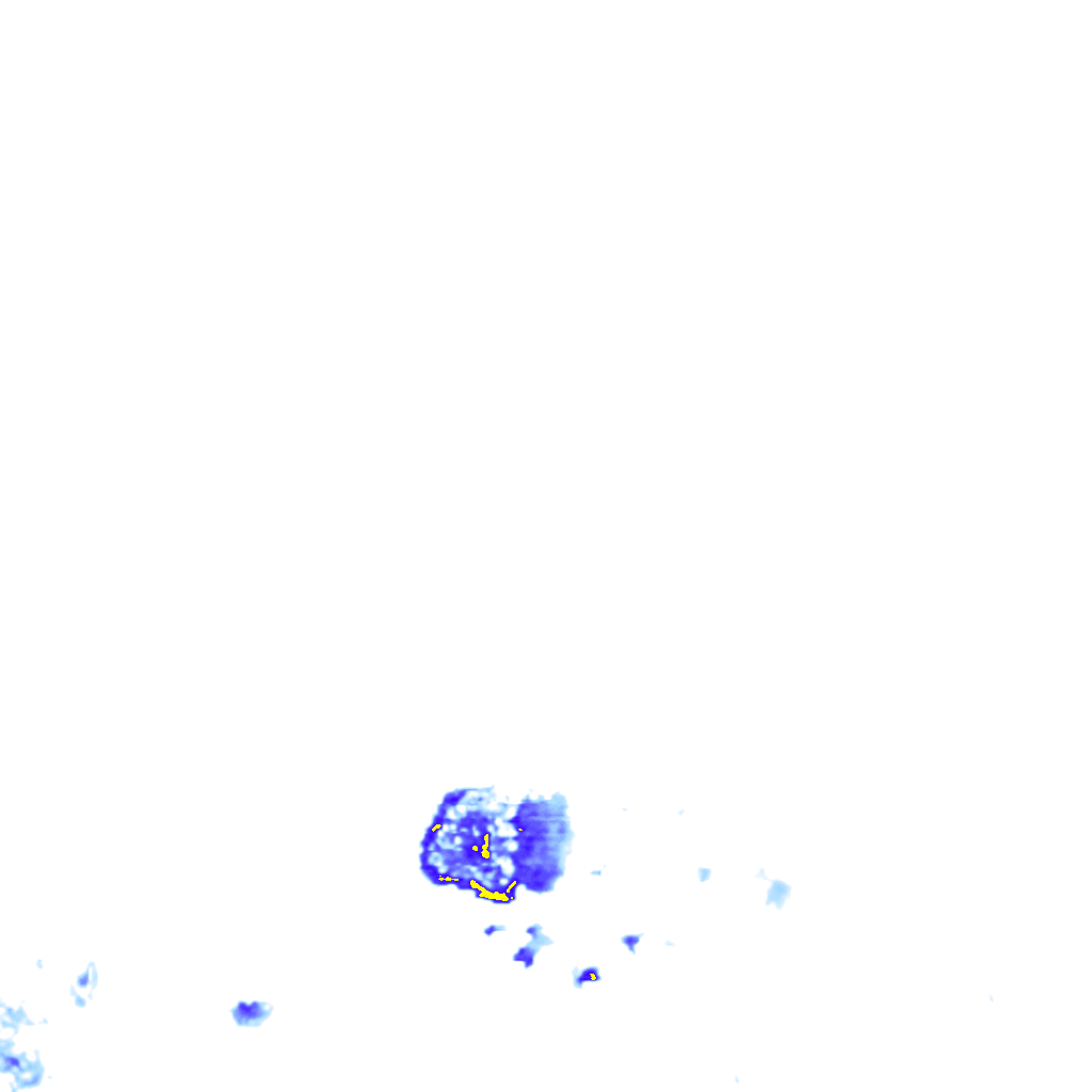 rainLayer