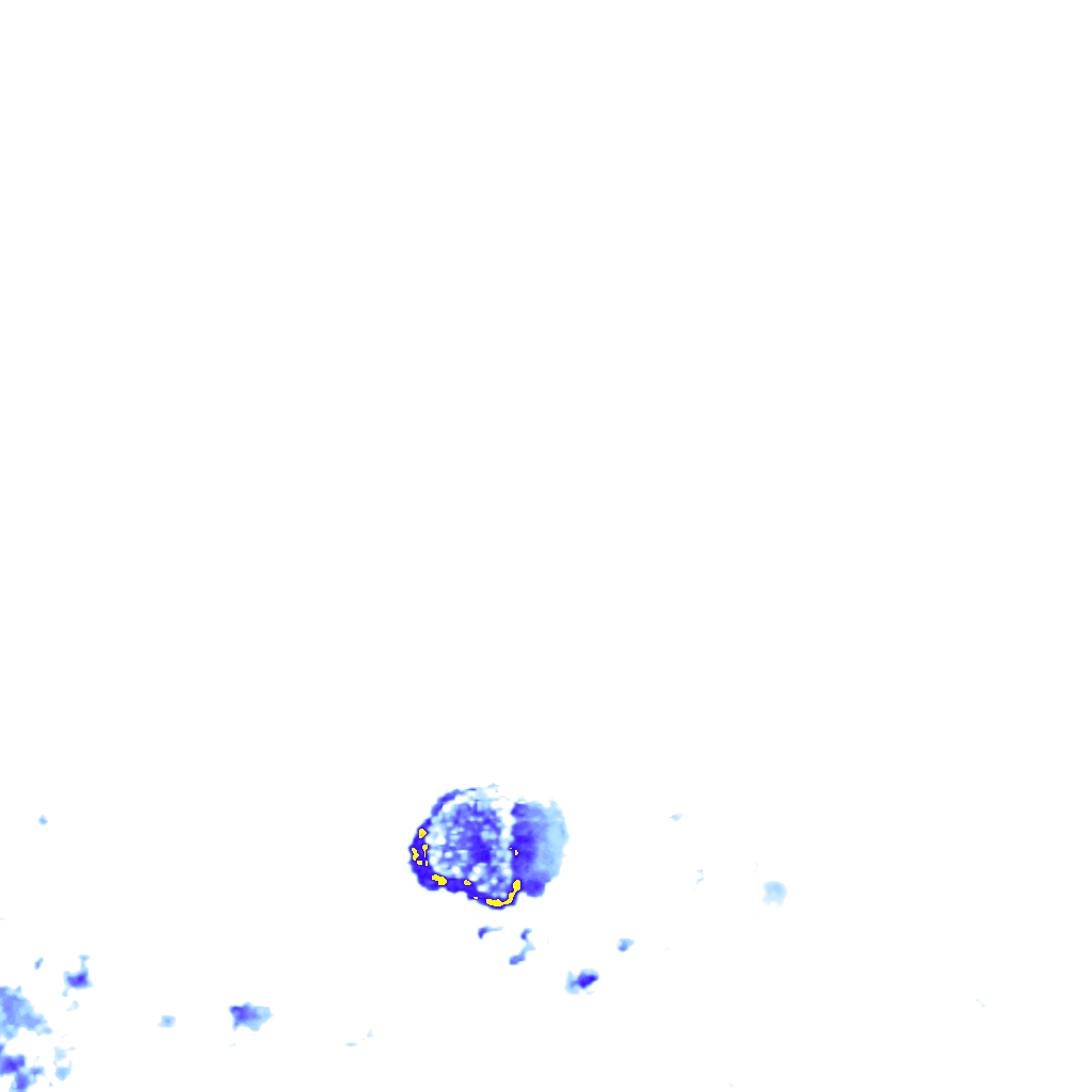 rainLayer