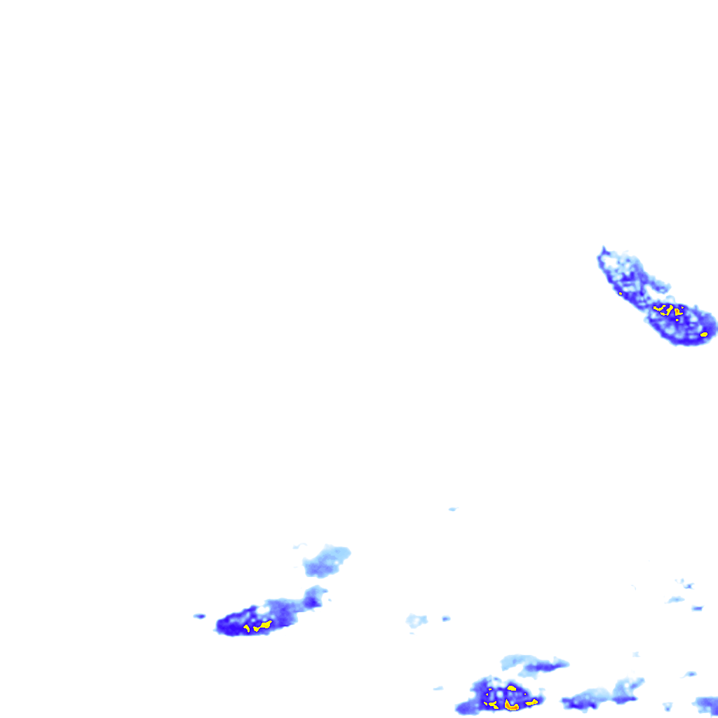 rainLayer