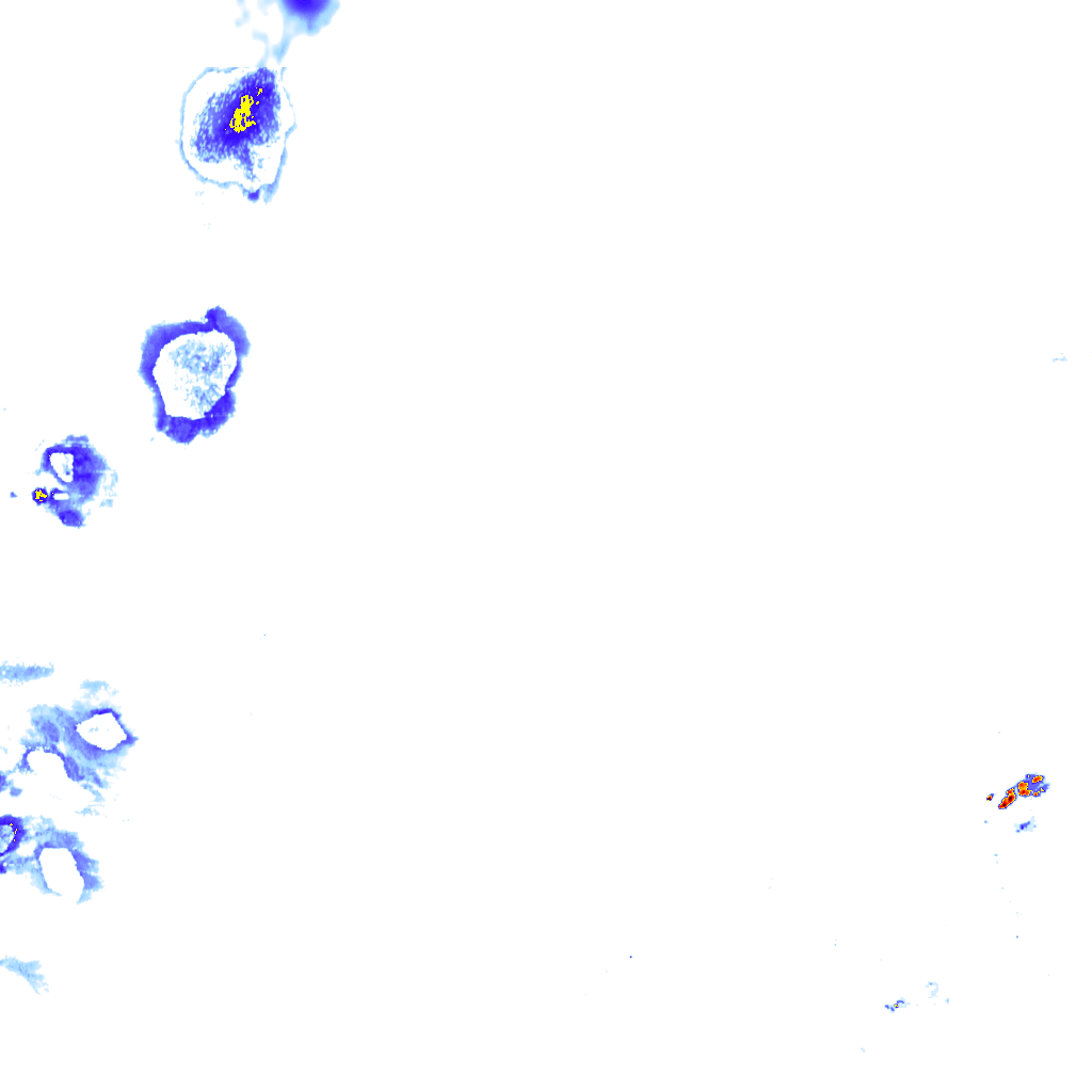 rainLayer