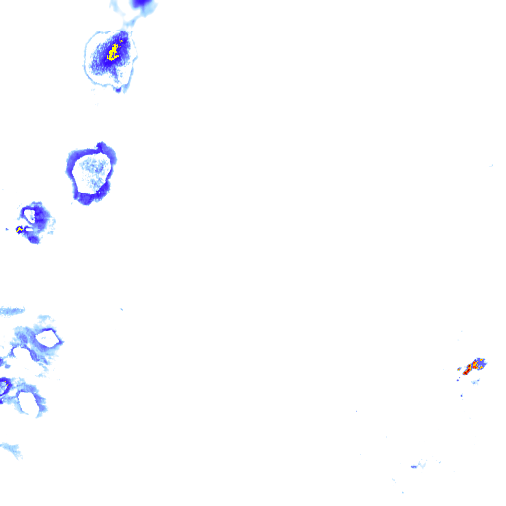 rainLayer