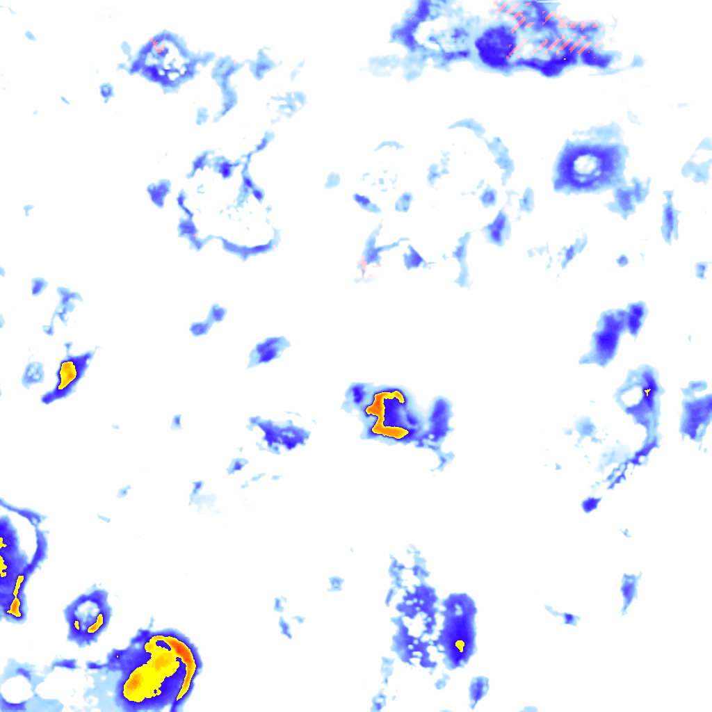 Image Layer