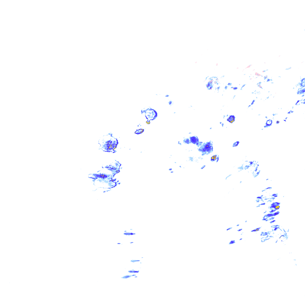 rainLayer