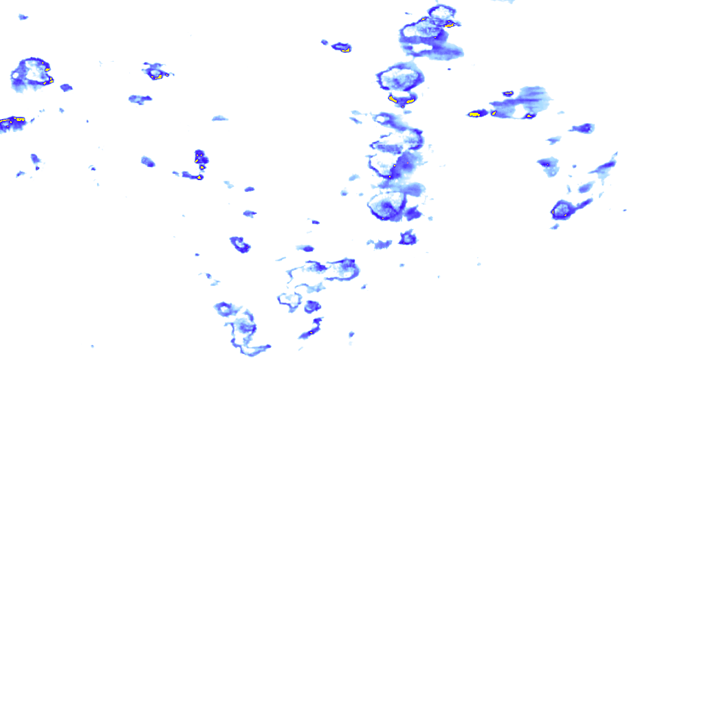 rainLayer