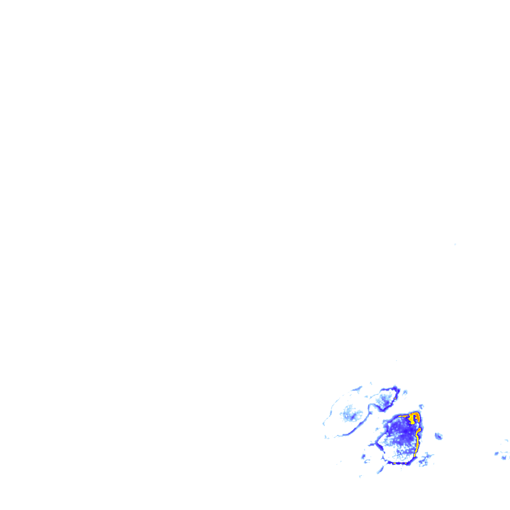 rainLayer
